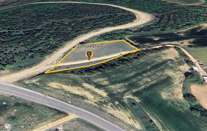 C21 LOCA'DAN KARESİ ŞAMLI'DA ANAYOLA CEPHE 2448 M2 SATILIK TARLA