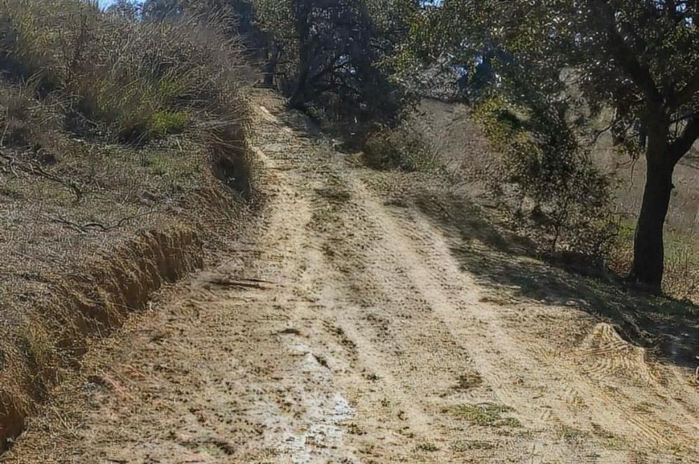 C21 LOCA'DAN BALIKESİR KARESİ YENİKÖY'DE 5881M2 YATIRIMLIK TARLA
