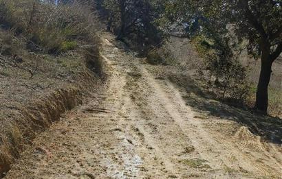 C21 LOCA'DAN BALIKESİR KARESİ YENİKÖY'DE 5881M2 YATIRIMLIK TARLA