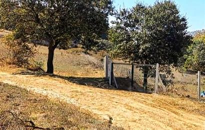 C21 LOCA'DAN BALIKESİR KARESİ YENİKÖY'DE 5881M2 YATIRIMLIK TARLA