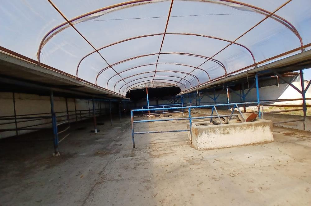 C21 LOCADAN BALIKESİR ALTIEYLÜLDE KİRALIK 2371M2 DEPO İMALATHANE