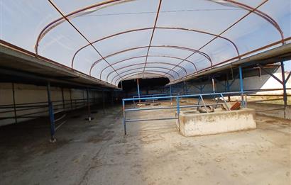 C21 LOCADAN BALIKESİR ALTIEYLÜLDE KİRALIK 2371M2 DEPO İMALATHANE