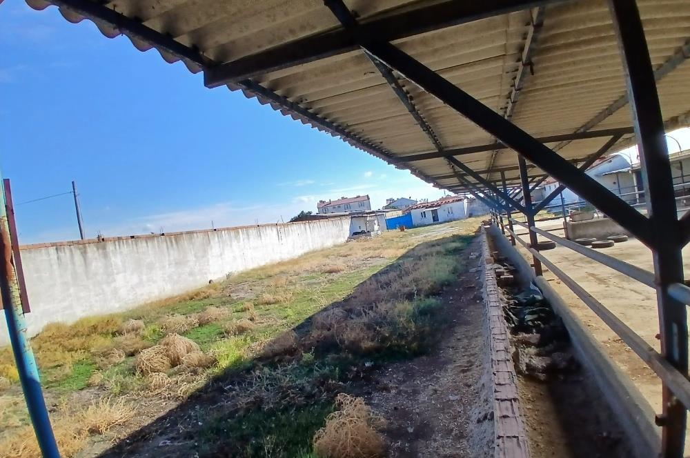 C21 LOCADAN BALIKESİR ALTIEYLÜLDE KİRALIK 2371M2 DEPO İMALATHANE