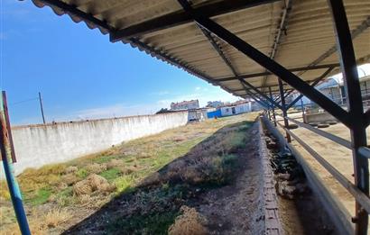 C21 LOCADAN BALIKESİR ALTIEYLÜLDE KİRALIK 2371M2 DEPO İMALATHANE