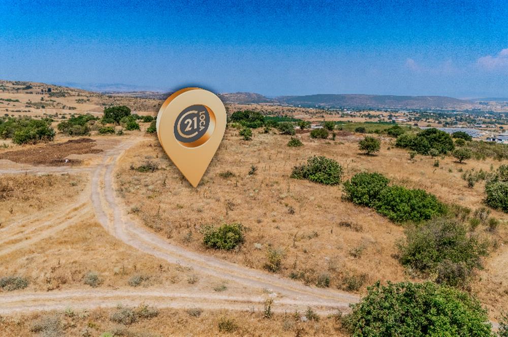 C21.LOCA'DAN BALIKESİR PAMUKÇUDA SATILIK 8000M2 YATIRIMLIK TARLA