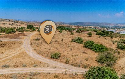 C21.LOCA'DAN BALIKESİR PAMUKÇUDA SATILIK 8000M2 YATIRIMLIK TARLA