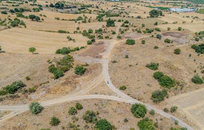 C21.LOCA'DAN BALIKESİR PAMUKÇUDA SATILIK 8000M2 YATIRIMLIK TARLA
