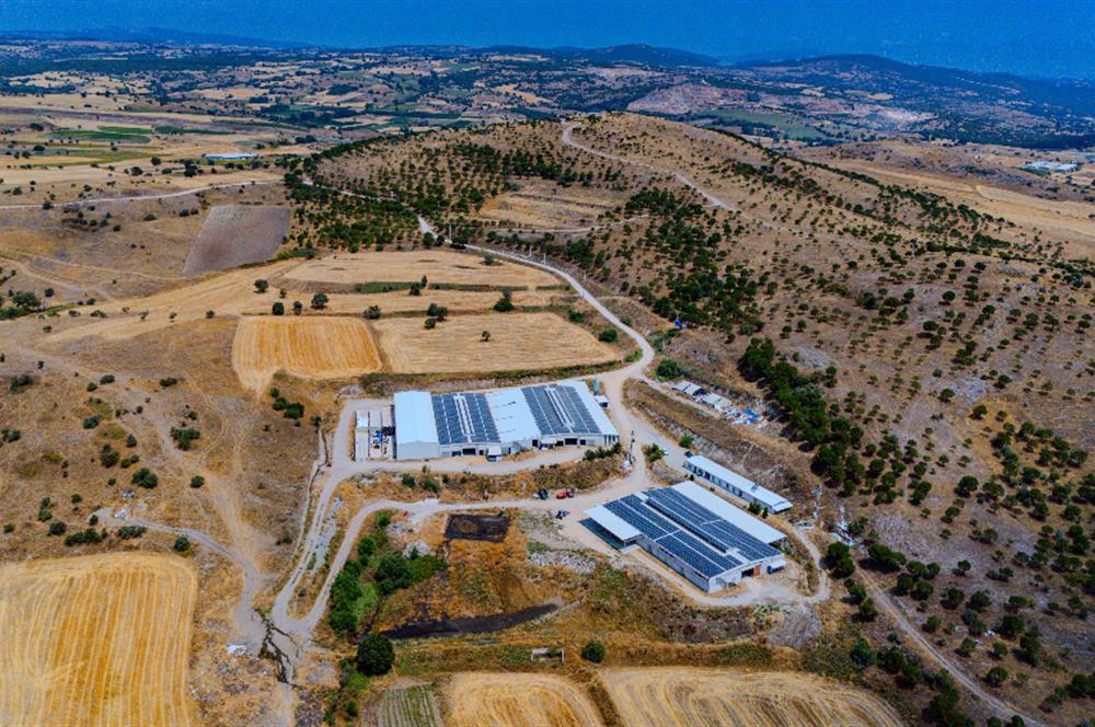 C21.LOCA'DAN BALIKESİR PAMUKÇUDA SATILIK 8000M2 YATIRIMLIK TARLA