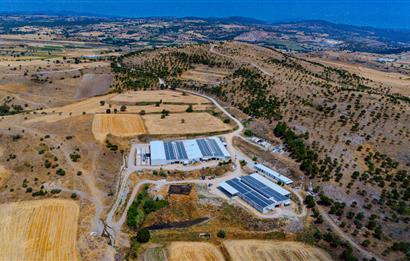 C21.LOCA'DAN BALIKESİR PAMUKÇUDA SATILIK 8000M2 YATIRIMLIK TARLA