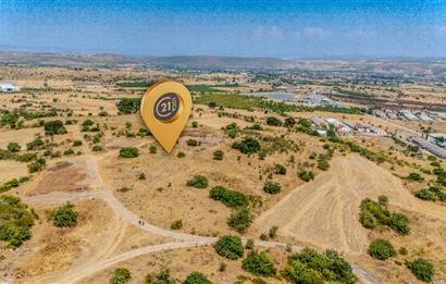 C21.LOCA'DAN BALIKESİR PAMUKÇUDA SATILIK 8000M2 YATIRIMLIK TARLA