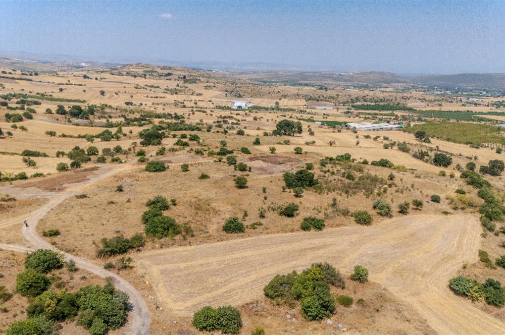 C21.LOCA'DAN BALIKESİR PAMUKÇUDA SATILIK 8000M2 YATIRIMLIK TARLA