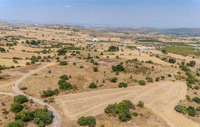 C21.LOCA'DAN BALIKESİR PAMUKÇUDA SATILIK 8000M2 YATIRIMLIK TARLA