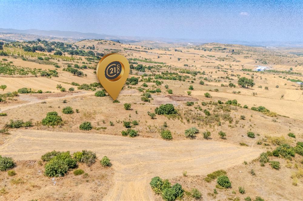 C21.LOCA'DAN BALIKESİR PAMUKÇUDA SATILIK 8000M2 YATIRIMLIK TARLA