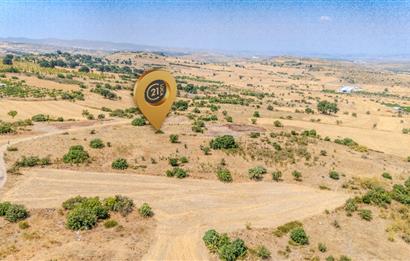 C21.LOCA'DAN BALIKESİR PAMUKÇUDA SATILIK 8000M2 YATIRIMLIK TARLA