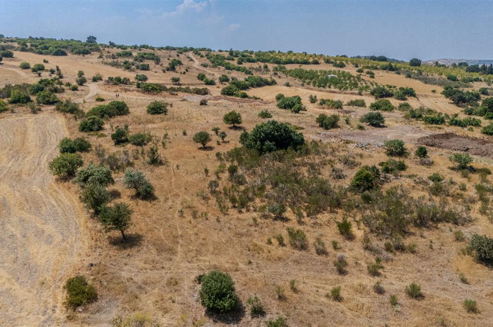 C21.LOCA'DAN BALIKESİR PAMUKÇUDA SATILIK 8000M2 YATIRIMLIK TARLA