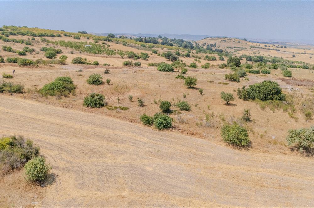 C21.LOCA'DAN BALIKESİR PAMUKÇUDA SATILIK 8000M2 YATIRIMLIK TARLA