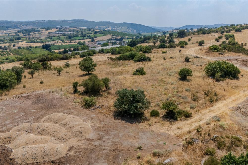 C21.LOCA'DAN BALIKESİR PAMUKÇUDA SATILIK 8000M2 YATIRIMLIK TARLA