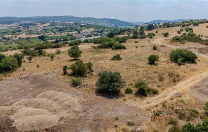 C21.LOCA'DAN BALIKESİR PAMUKÇUDA SATILIK 8000M2 YATIRIMLIK TARLA