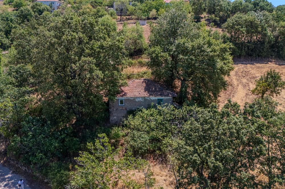 C21 LOCADAN KEPSUT SAYACIK MAHALLESİNDE KONUT İMARLI 1229M2 ARSA