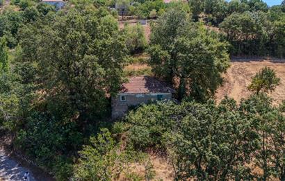 C21 LOCADAN KEPSUT SAYACIK MAHALLESİNDE KONUT İMARLI 1229M2 ARSA