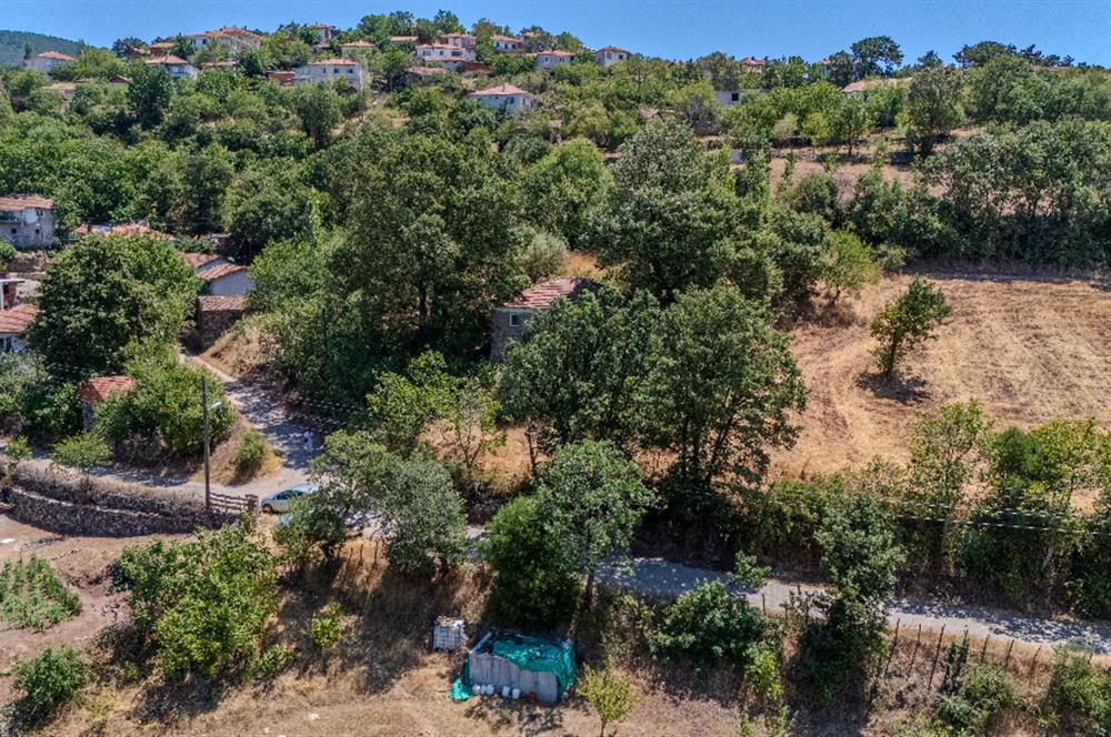 C21 LOCADAN KEPSUT SAYACIK MAHALLESİNDE KONUT İMARLI 1229M2 ARSA
