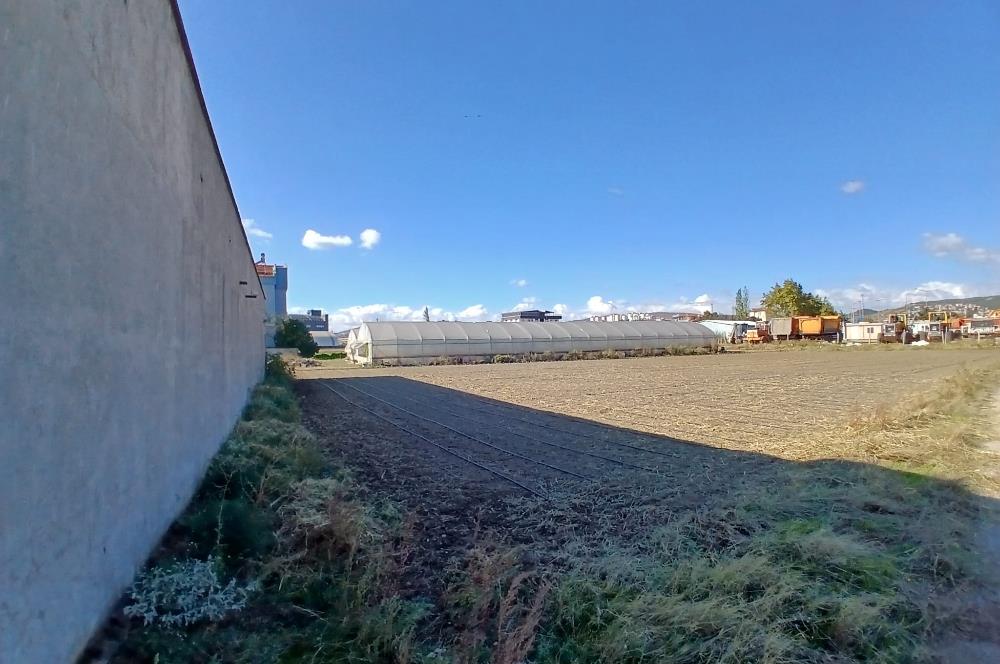C21 LOCADAN BALIKESİR ALTIEYLÜLDE KİRALIK 2371M2 DEPO İMALATHANE