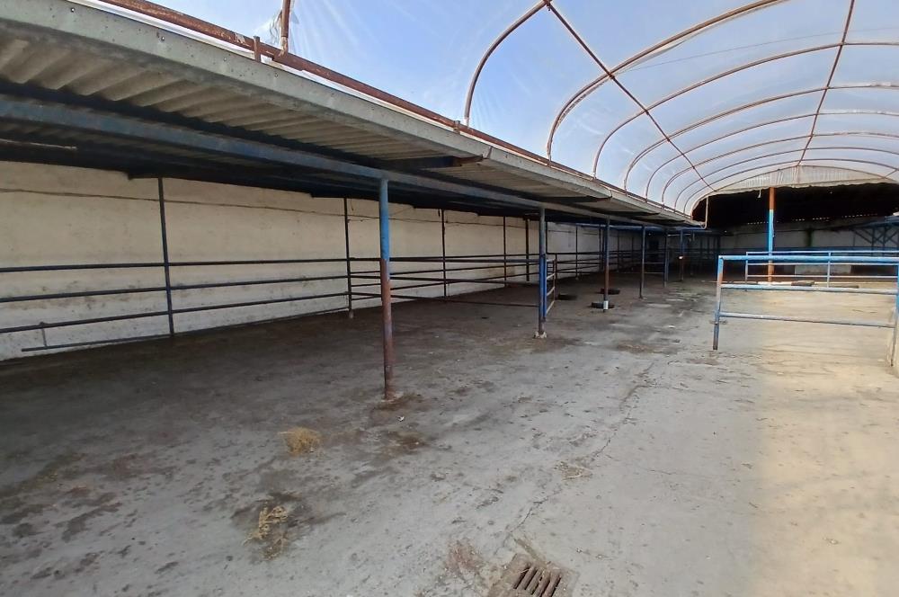 C21 LOCADAN BALIKESİR ALTIEYLÜLDE KİRALIK 2371M2 DEPO İMALATHANE