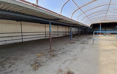 C21 LOCADAN BALIKESİR ALTIEYLÜLDE KİRALIK 2371M2 DEPO İMALATHANE