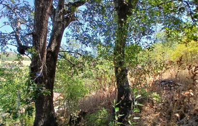 C21 LOCADAN KEPSUT SAYACIK MAHALLESİNDE KONUT İMARLI 1229M2 ARSA
