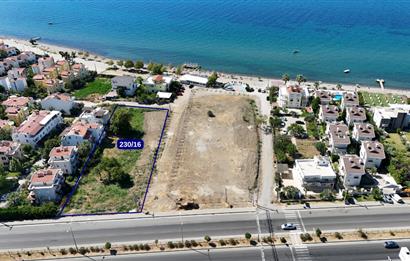 C21 Bal'dan Küçükkuyu'da Denize Komşu Emsalsiz Satılık Arsa