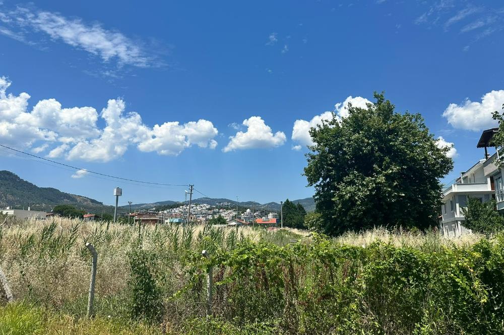 C21 Bal'dan Küçükkuyu'da Denize Komşu Emsalsiz Satılık Arsa