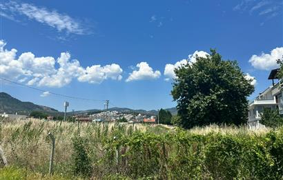 C21 Bal'dan Küçükkuyu'da Denize Komşu Emsalsiz Satılık Arsa