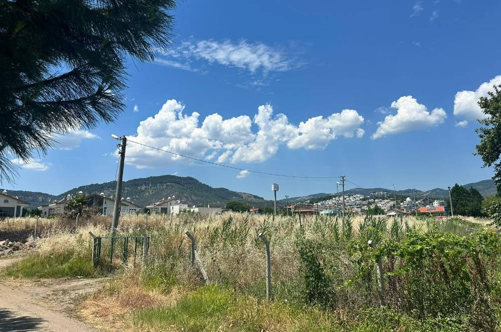C21 Bal'dan Küçükkuyu'da Denize Komşu Emsalsiz Satılık Arsa