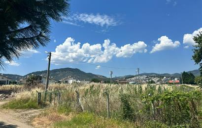 C21 Bal'dan Küçükkuyu'da Denize Komşu Emsalsiz Satılık Arsa
