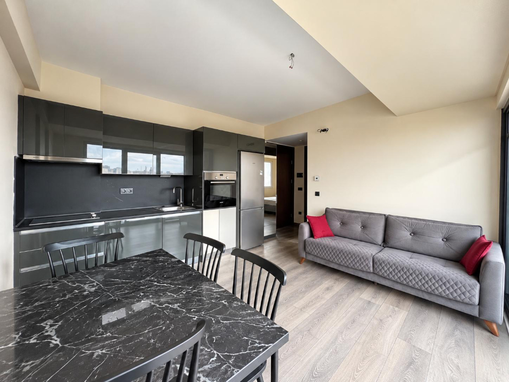KAĞITHANE MİNT SATILIK DAİRE , ÖN CEPHE VE ŞEHİR MANZARALI